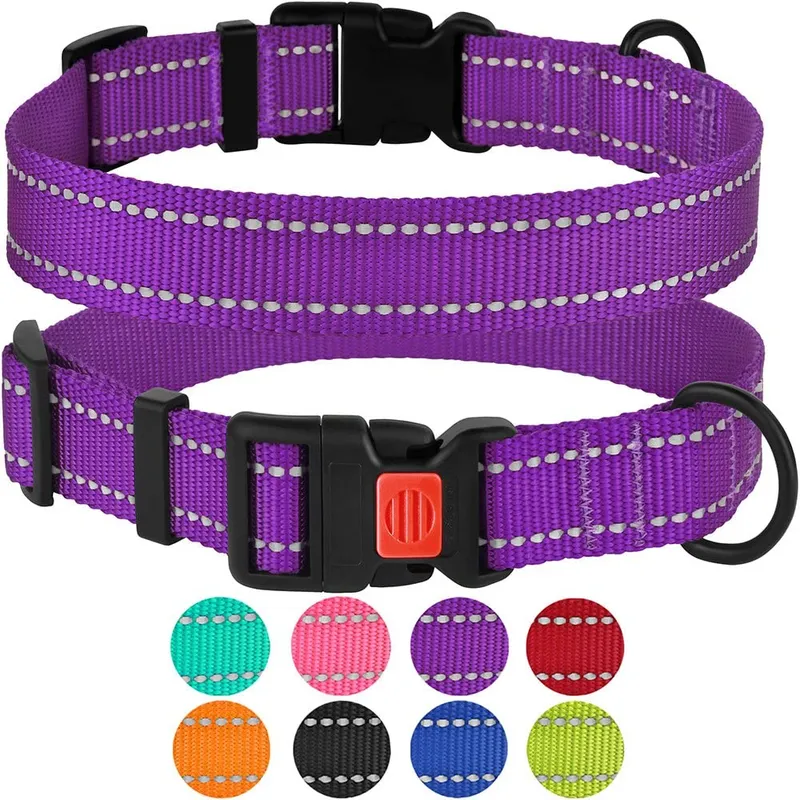 OEM Manufacturer Nylon Reflective Multicolor Dog Collar for Training