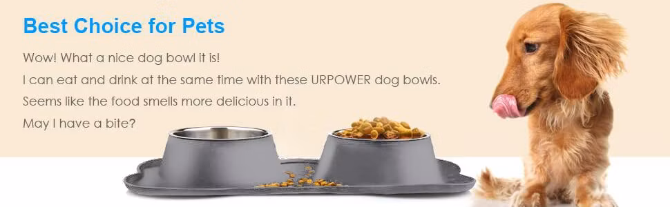 Stainless Steel Double Dog Bowl with Silicone Dog Bowl Mat