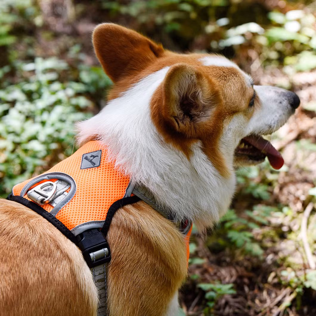 Breathable Mesh Cooling Vest Dog Hunting Harness for Dog