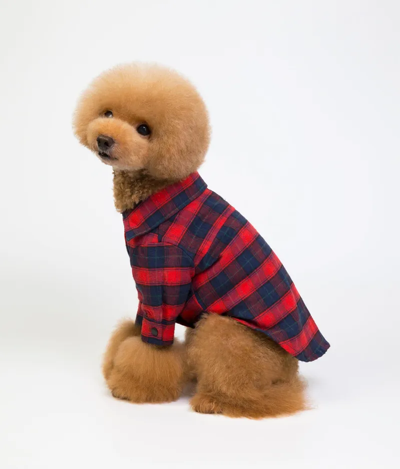 Luxury Custom Pattern Cotton Dog Clothes for Small Medium Large Dogs