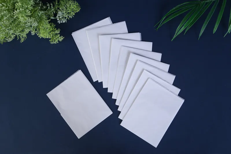 1/16 Disposable Flushing Toilet Paper Seat Covers