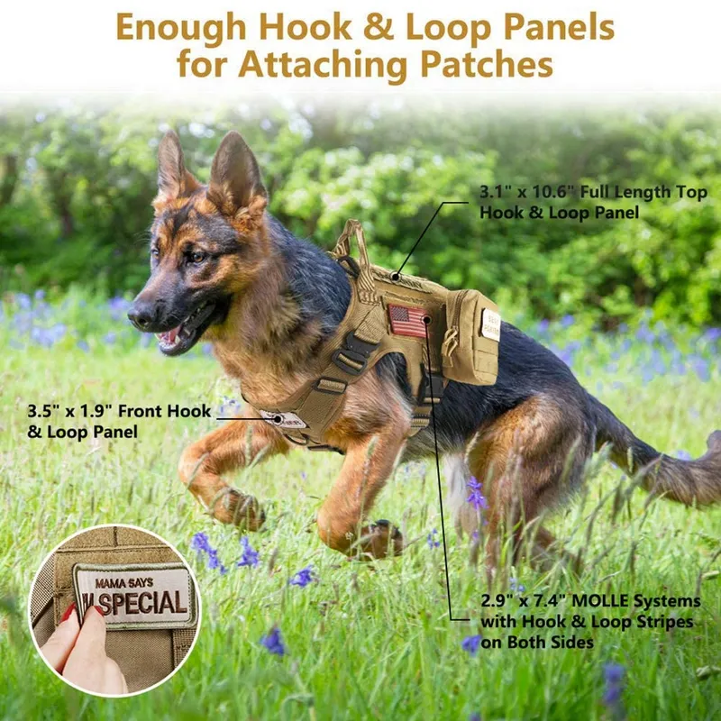 Tactical Dog Harness and Bungee Dog Leash for Large Medium Dogs