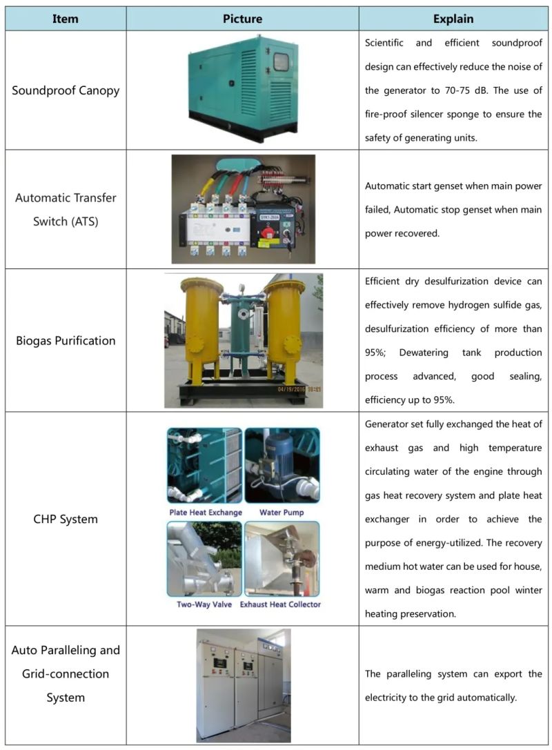 Biomass and Bioenergy Wood Chip Electricity Generator