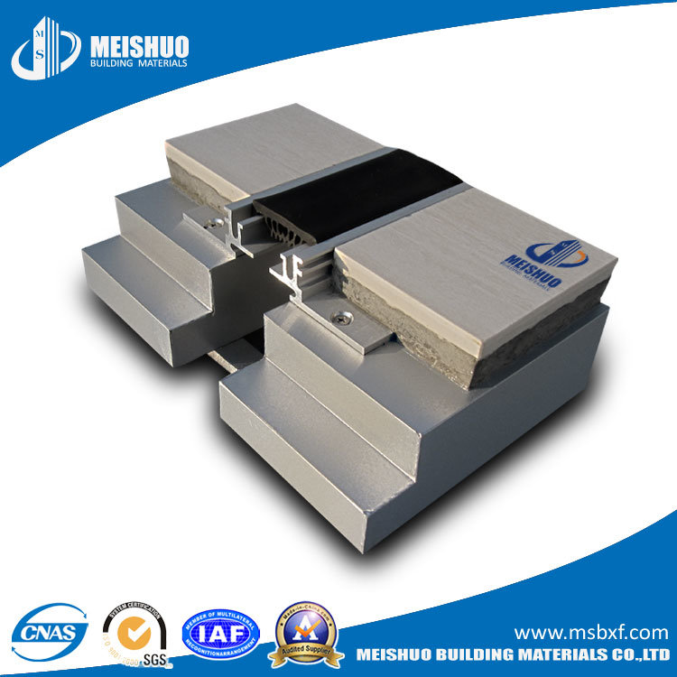 Elastomeric Watertight Building Floor Expansion Joint for Concrete