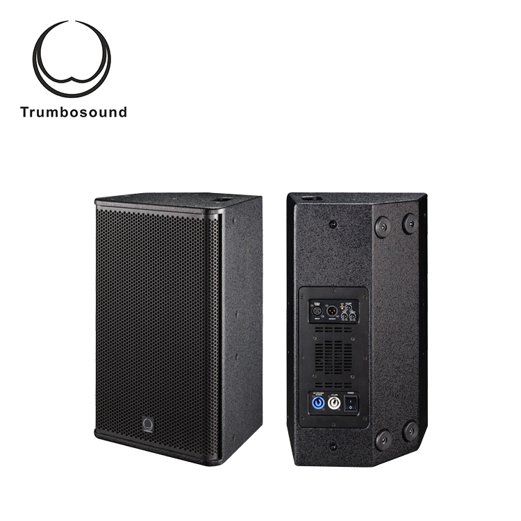 10 Inch Active Full Range Loudspeaker Two Way Loudspeaker Multifunctional Speaker Tr10A