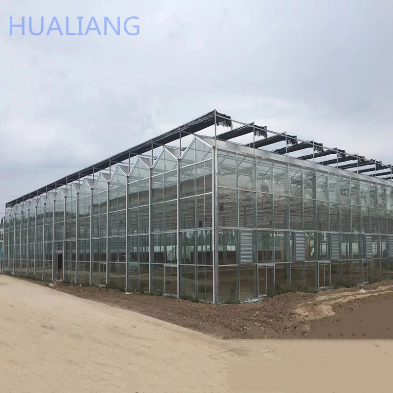 Ebb Glass Plastic Film Commercial Polycarbonate Sheet Nursery Greenhouse with Shading Net System