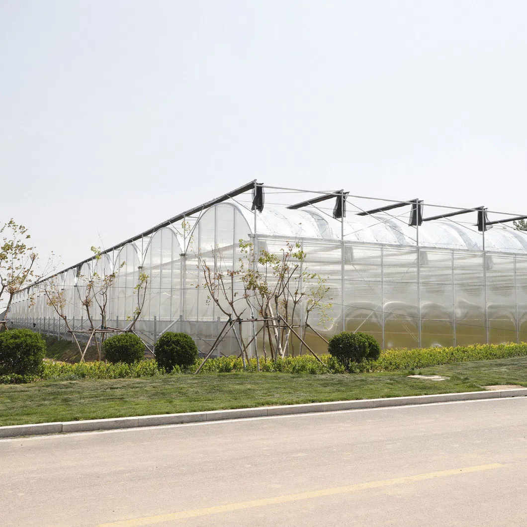 Prefabricated Greenhouses with Plastic Film Roof and Polycarbonate Surroundings for Vegetables/Flowers/Hydroponics