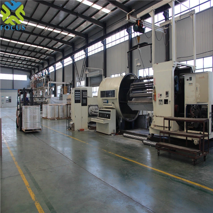 Factory Price Packaging Film Plastic Metallized Package Fill Roll Polyester Pet Film