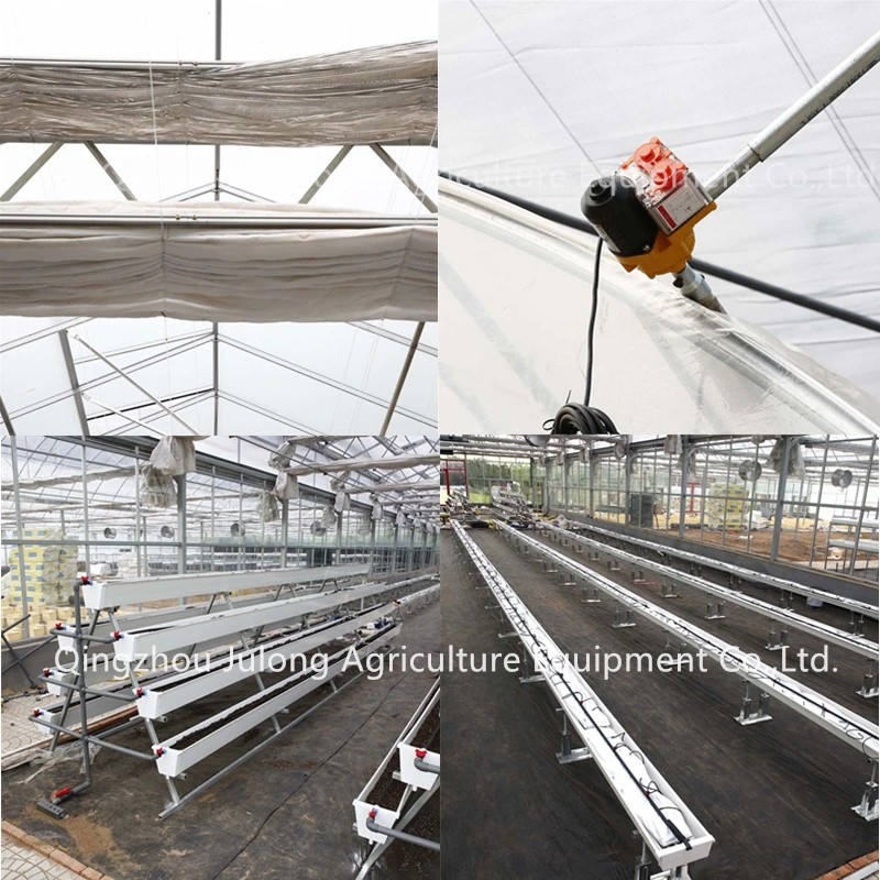 Complete Large Strawberry Tomato Hydroponics Polycarbonate Film Multifunctional Agriculture Greenhouse