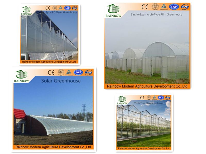 Agricultural Plastic Film Greenhouse for Vegetables