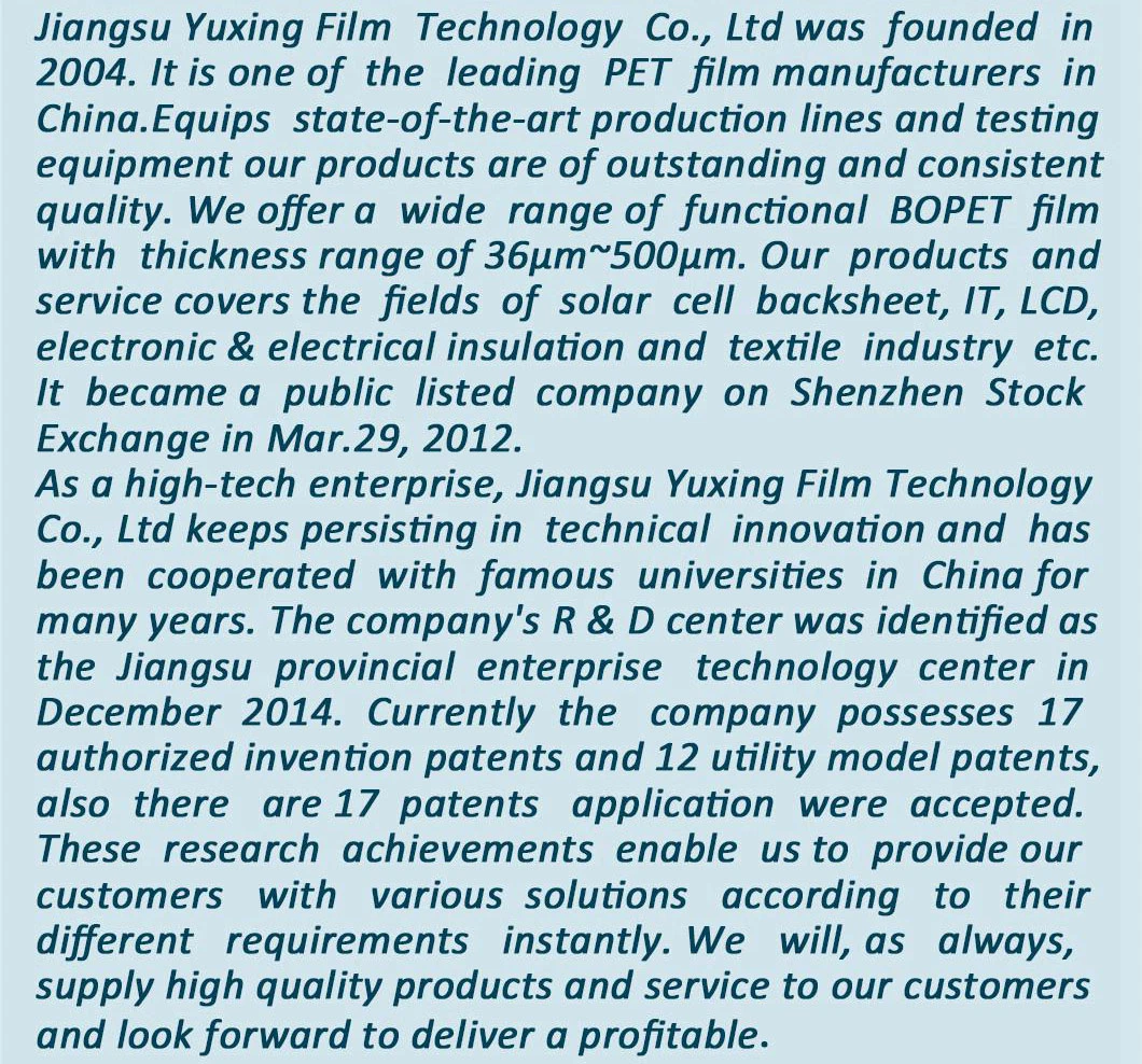 Electrical Insulation Pet Film (6027A)