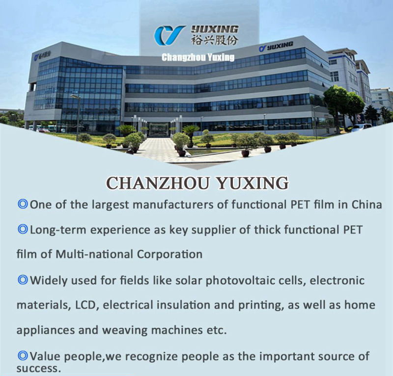 High Quality Pet Film for Electrical Insulation