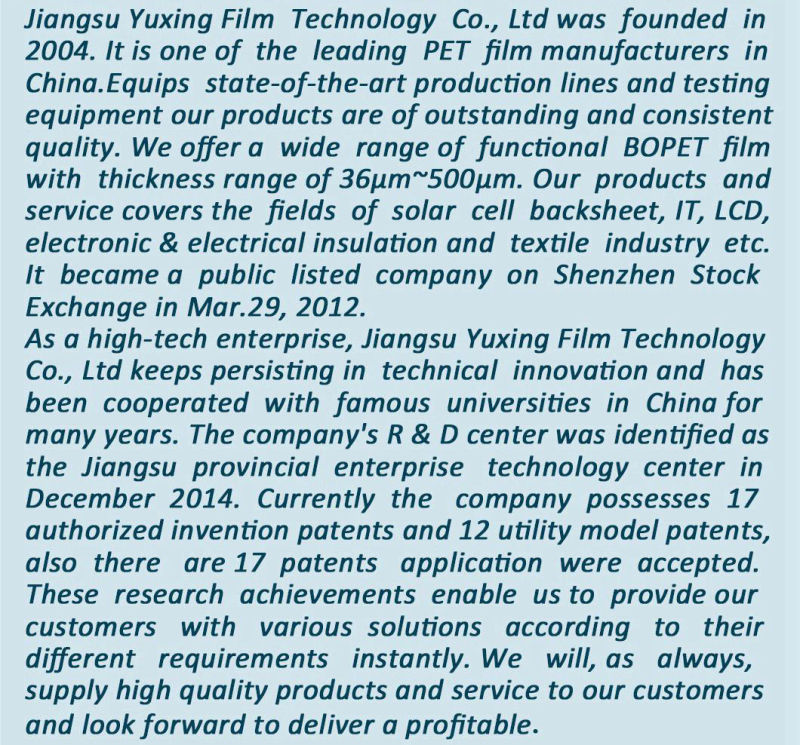 75-500&mu; M Insulation Pet Film for Electrical Insulation