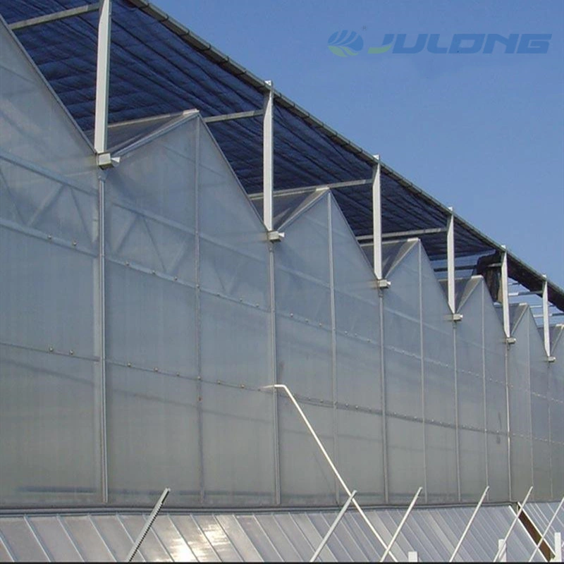 Complete Large Strawberry Tomato Hydroponics Polycarbonate Film Multifunctional Agriculture Greenhouse