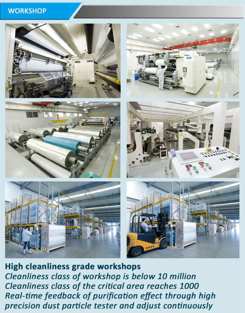 Polyester Film Roll for Heddles (CY22L)