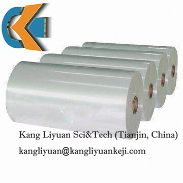 6021 Electrical Polyester Film Milky White