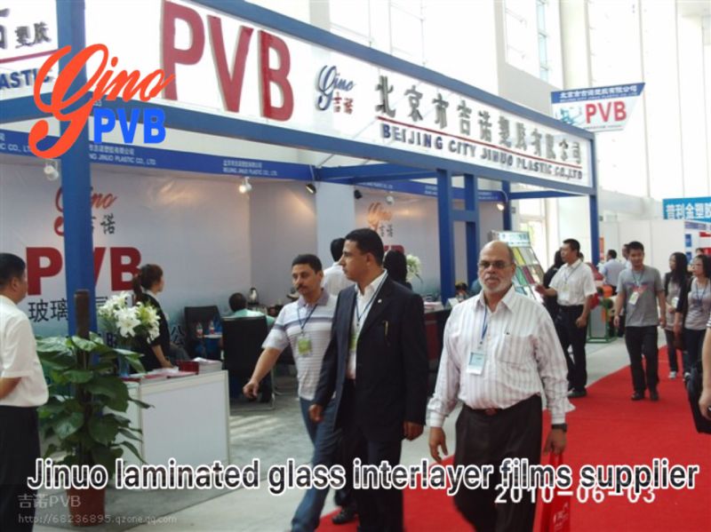 Polyvinyl Butyral Powder in Laminated Glass Film Polyester PVB Resin Price
