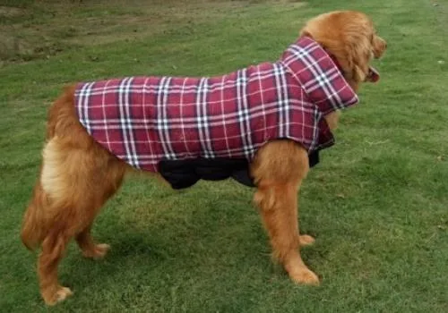 Ropa para mascotas alimentación perros impermeable impermeable ropa para mascotas Productos