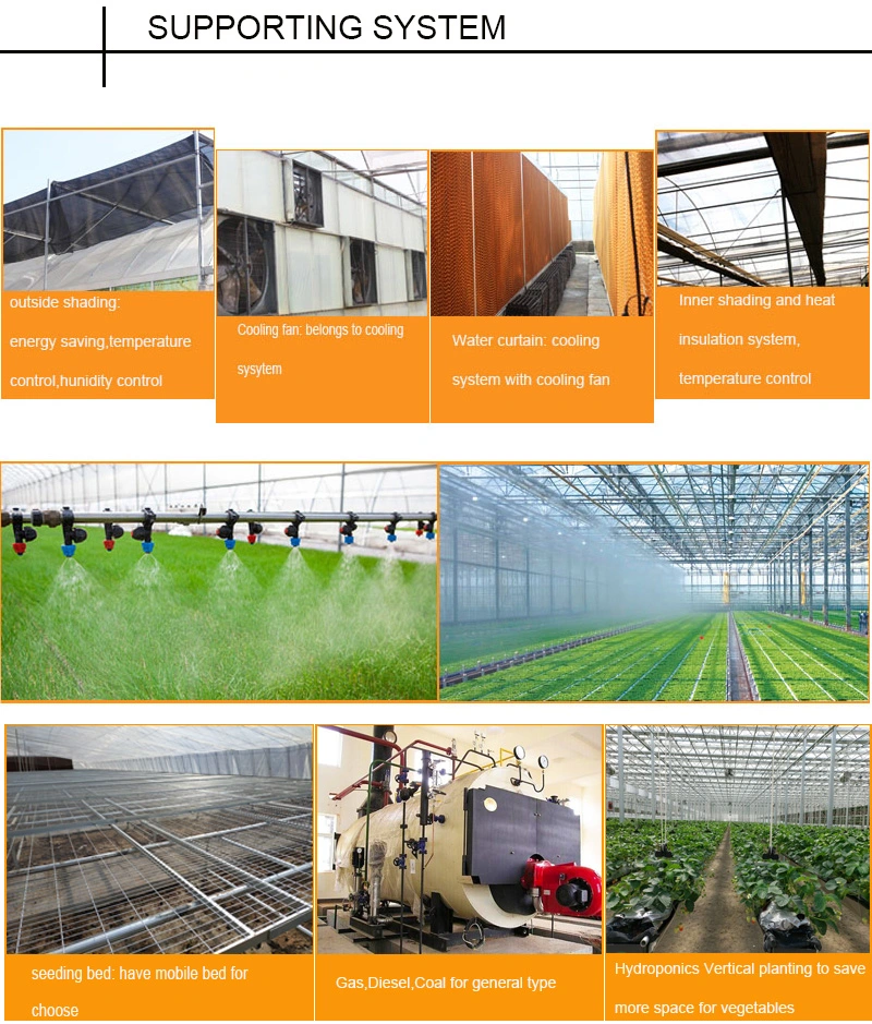 Agriculture/Commercial Invernadero Glass/Film/Polycarbonate Greenhouse for Tomato/Cucumber/Strawberry/Roses