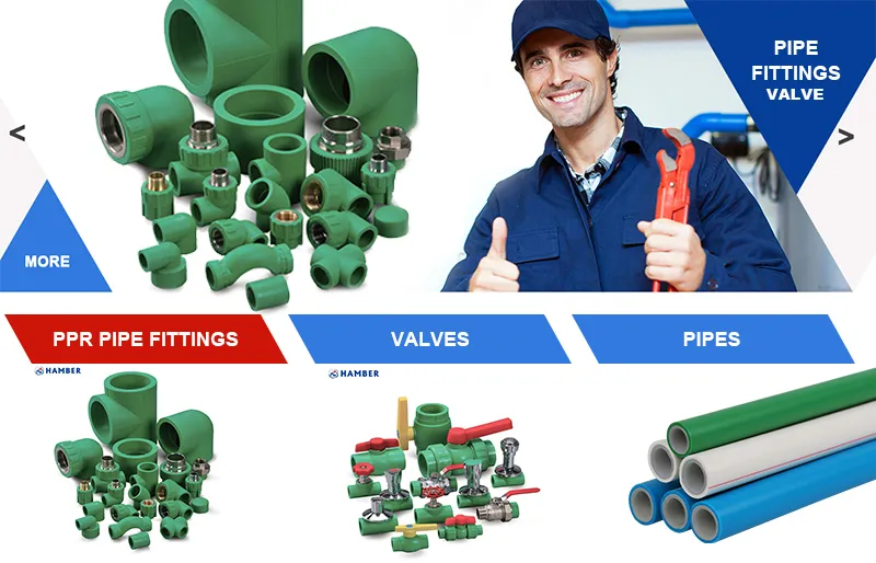 Hb-2165 PPR Clip PPR Pipe Clip PPR Clamp Price List PPR Fittings