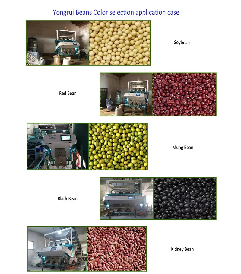 3 Chutes Soybean/Mung Bean/Lnetil Sorting Machine