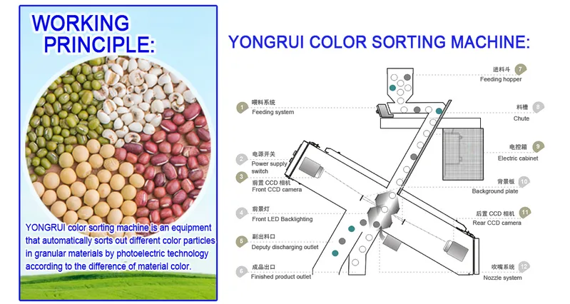 3 Chutes Soybean/Mung Bean/Lnetil Sorting Machine