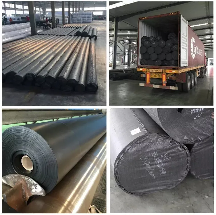 HDPE Geomembrane Product Name and Landfill Application HDPE Geomembrane