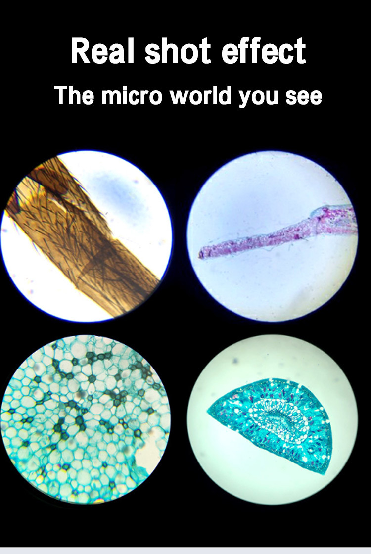 Clear Imaging Swift Microscope Applied in The Field of Medicine
