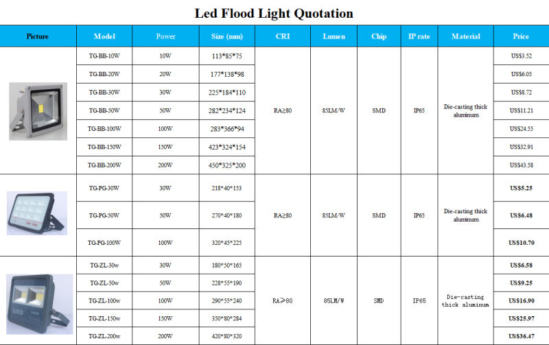 Wireless Control IP Camera 100W LED Flood Light Floodlight