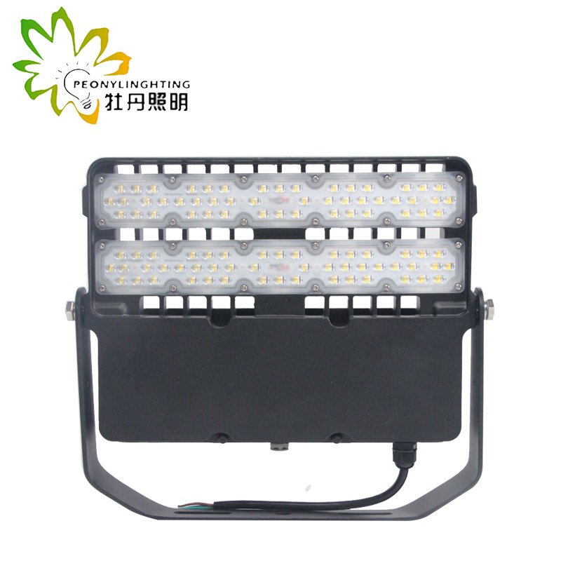 High Photosynthetic Efficiency 100W LED Flood Light with 140-150lm/W SMD Floodlight