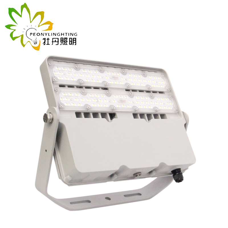 High Photosynthetic Efficiency 100W LED Flood Light with 140-150lm/W SMD Floodlight