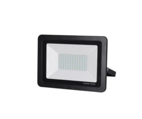 LED Floodlight with Plug in Sensor