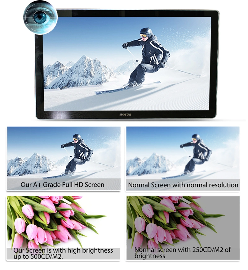 One Year Warranty Free Sex Movies 17 Inch LCD Monitor