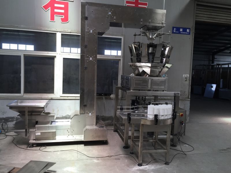 Automatic Linear Granule Filling Machine