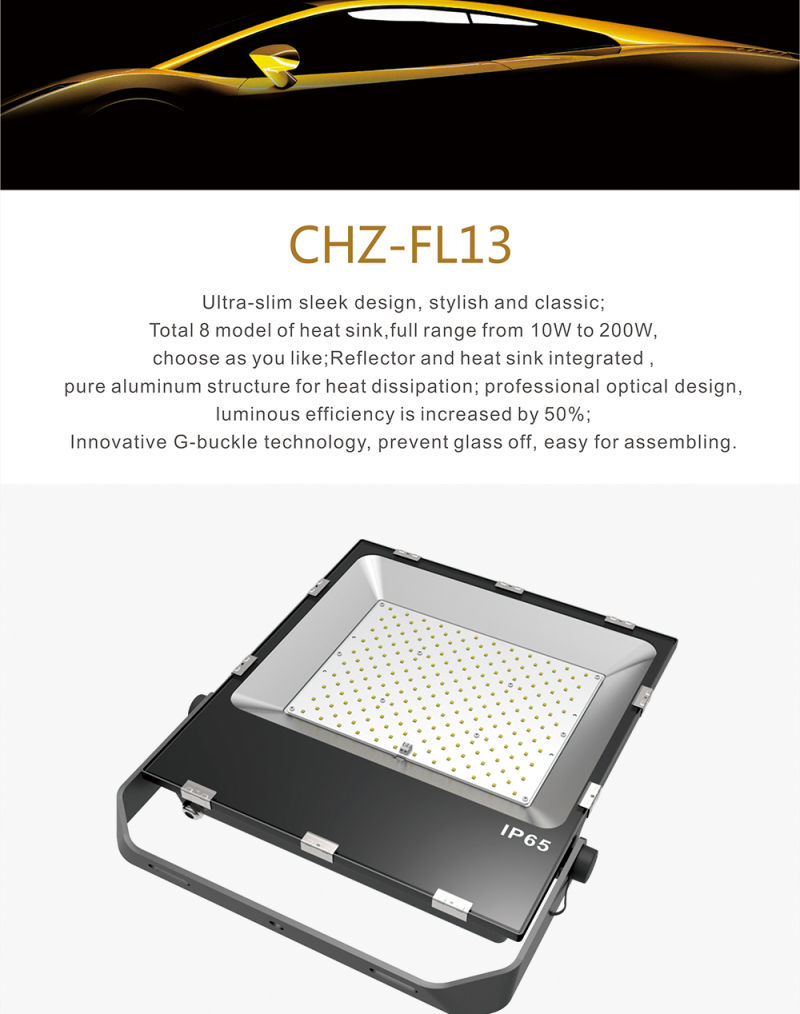 Hot Sell 10W Waterproof IP66 LED Flood Light with Best Price