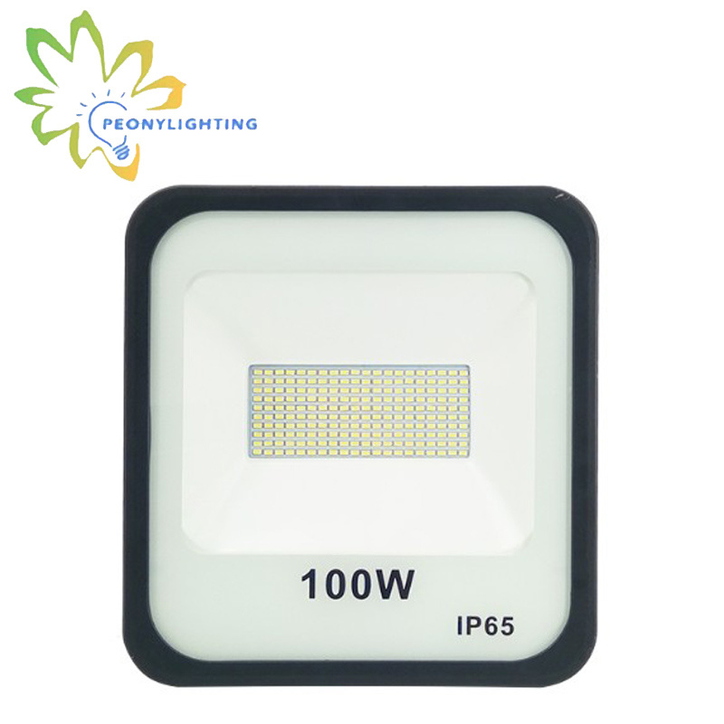 100W LED Flood Light with 110lm/W SMD Chips Floodlight