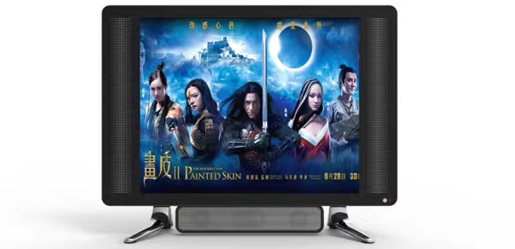 19" Inch New Model LED TV Big Screen Television
