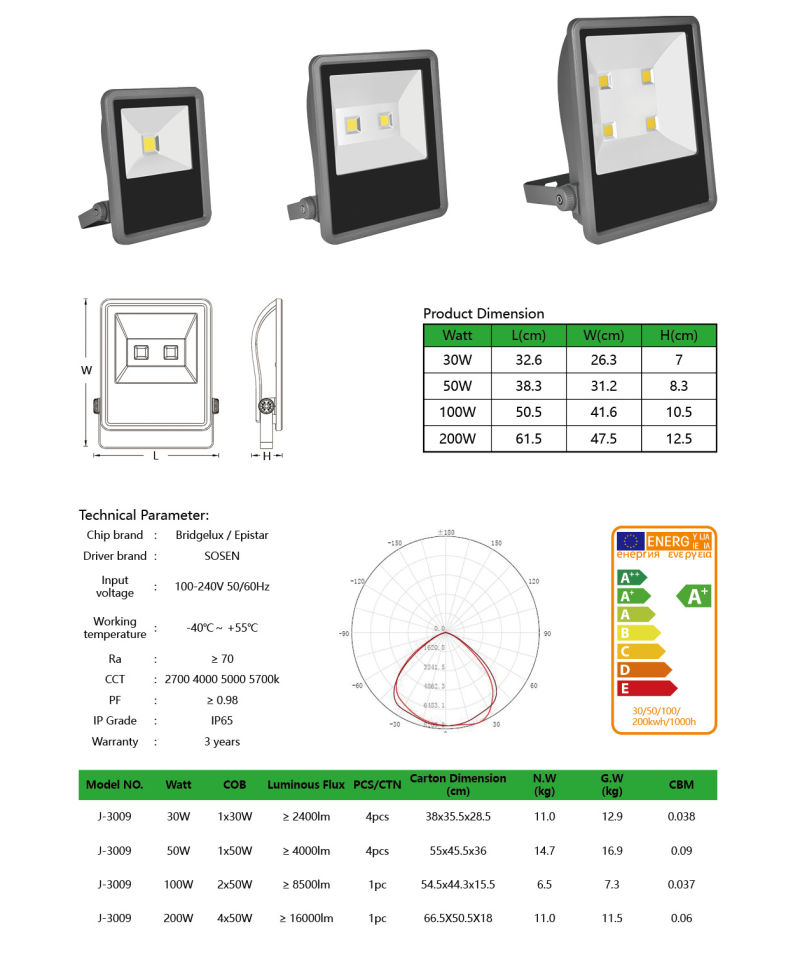 China Supplier IP65 LED Flood Light Waterproof Outdoor Wall Mounted with Sensor