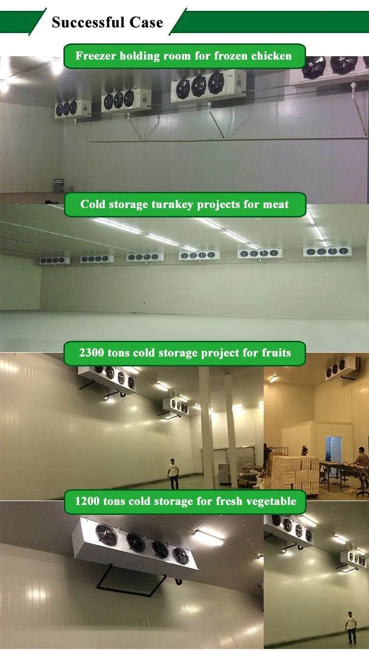 Shrimp Meat Beef Leg Cold Storage Room for Meat Cold Storage Compressor Cold Room Project