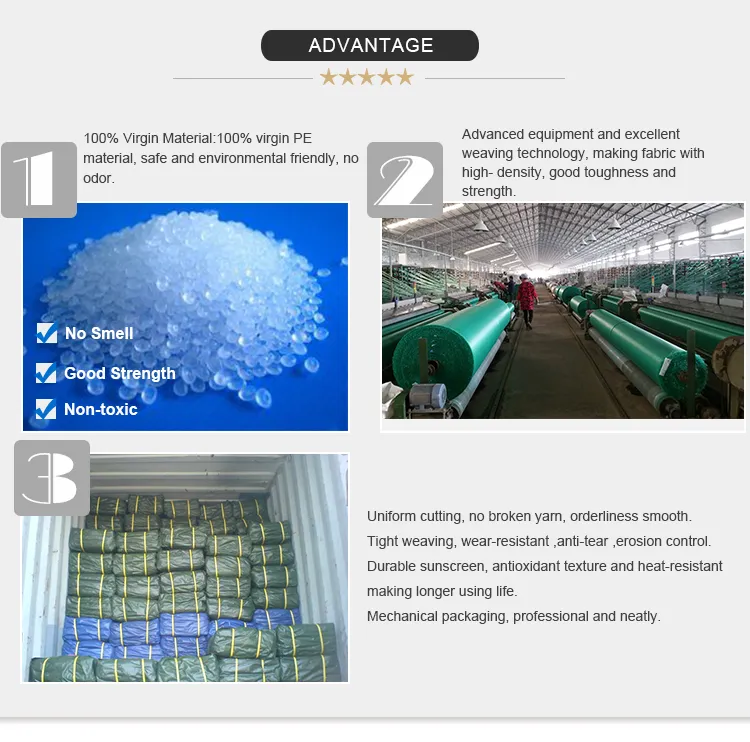 China Waterproof Sun Resistant 30 X 30 Tarpaulin