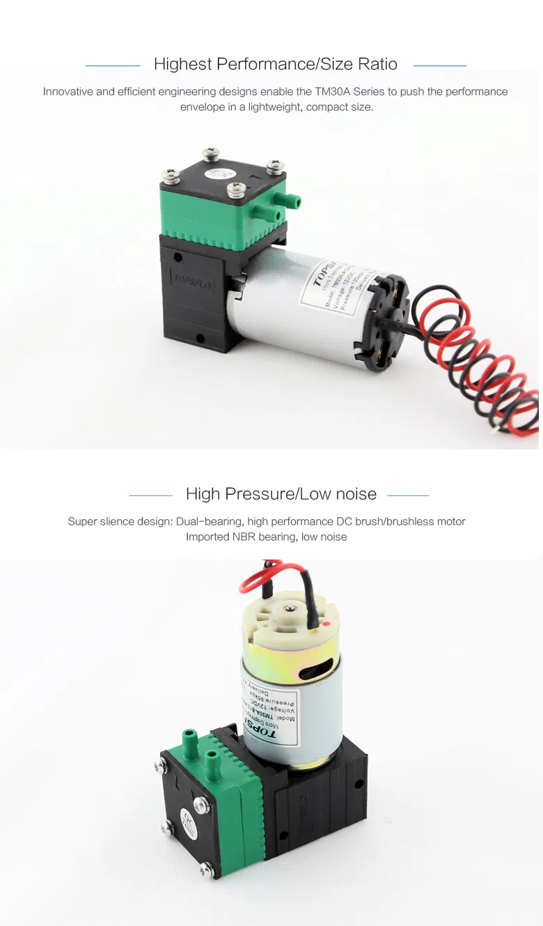 Mini Air Pimp, Diaphragm Air Pump