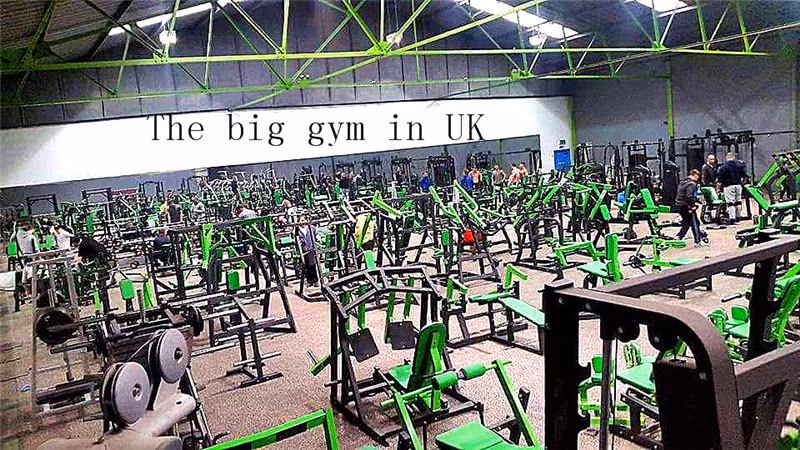 Fitness Equipment / Gym Equipment / Hammer Equipment /Abdominal Bench