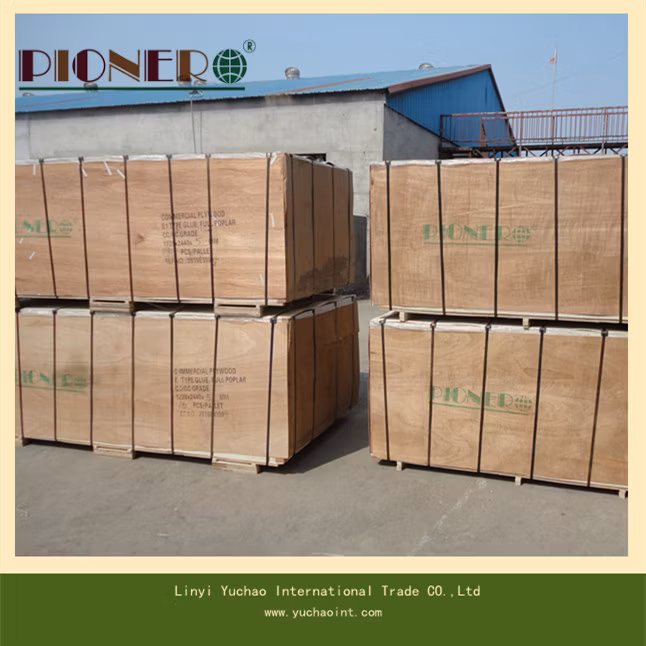 Film Faced Plywood for Construction Concrete Formwork