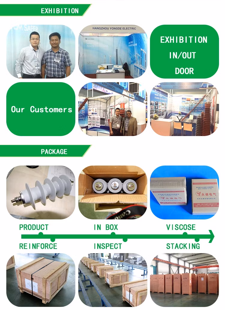 Lightning Protection Products Silicone Arrester with Kema Type Test Report