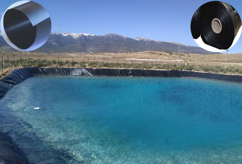 HDPE Geomembrane for Floating Liner Solutions