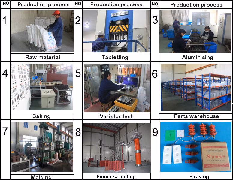Lightning Protection Products Silicone Arrester with Kema Type Test Report