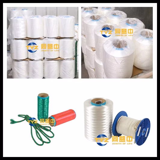 Safety Nets