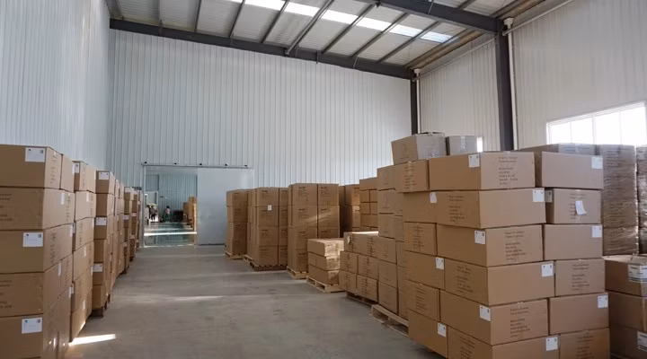 Type 1 Surge Protection Device Class 1 Surge Protection Devices 1 Phase Surge Protection Device