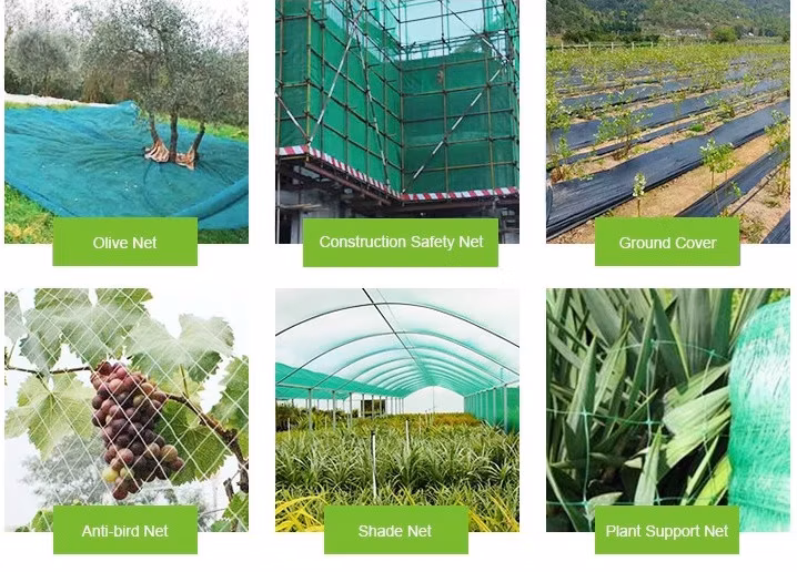 HDPE Building Construction Scaffolding Safety Nets in China