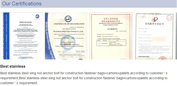 China 304 316 Zhiju Stainless Steel Equal Tee/Reducing Tee
